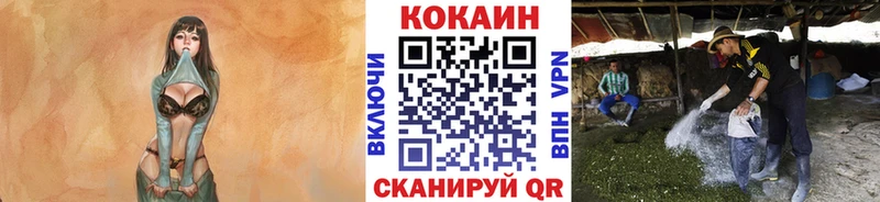 КОКАИН Колумбийский  блэк спрут ТОР  Артём 