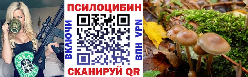 Псилоцибиновые грибы Cubensis наркота Артём